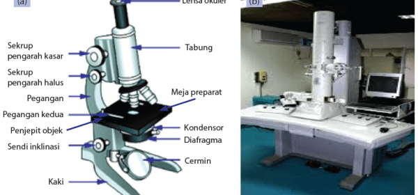 bagian-bagian mikroskop cahaya